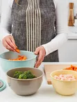 Миска с крышкой, 5 шт., разные цвета ГАРНИТЮРЕН