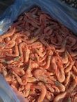 СЕВЕРНЫЕ КРЕВЕТКИ  250+ 5КГ