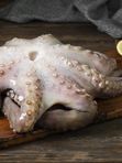 Осьминог крупный