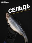 Сельдь