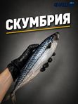 Скумбрия свежемороженная