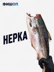 Нерка