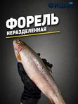 Форель порционная, 500-800