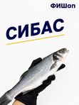 Сибас