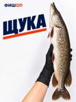 Щука с/м