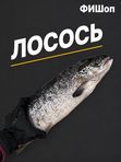 Лосось с/м ПСГ 5-6 Премиум