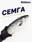 Семга с/м ПСГ 2-3 Премиум