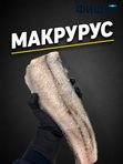 Макрурус