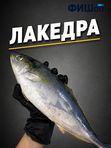 Лакедра