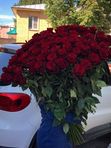 Букет из 51 розы 100 см Эквадор. Премиум сорт
