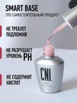 CNI SMART База