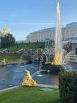 🌈Петербургская Коллекция *круглогодично *заезд в любой день