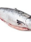 ❗16 октября❗ 🐟 - ЛОСОСЬ (СЕМГА) охлажденный, вылов г. Мурманск. вес  3-5 кг. - 1890₽/кг.