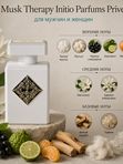 Rafam по мотивам I.P.P. Musk Therapy