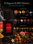Rafam по мотивам ILMIN P. IL Orgasme