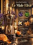 Rafam по мотивам  J.P.G. Le Male Elixir