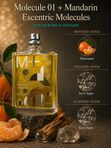 Rafam по мотивам  E.M. Molecule 01 + Mandarin
