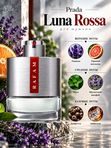 Rafam по мотивам P. Luna Rossa