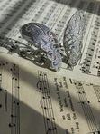 Серебряное кольцо бабочка