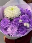 Лавандовый раф хризантемы