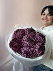 Хризантемы Бигуди