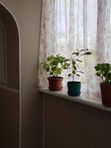 Обшивка балкона панелями внутри