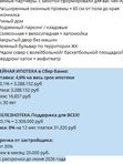 💥Железно.💥Камаполис