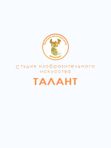 Студия изобразительного искусства «Талант»