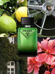 Prada Paradigme