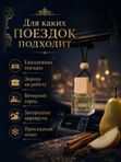 Автопарфюм Груша и корица, мужской фужерно-восточный аромат для автомобиля, 7 мл