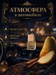 Автопарфюм Груша и корица, мужской фужерно-восточный аромат для автомобиля, 7 мл