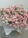 Гипсофила розовая в коробке, арт. 622