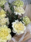 Желтые и зеленые гвоздики 11 шт + эвкалипт, арт. 285