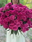 Малиновый кустовые розы 51 стебель=153 бутона, арт. 510