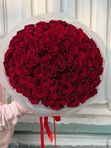 Красные Эквадорские розы 101 шт, арт. 777
