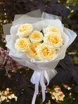 Роза пионовидная Кенделайт 7 шт, арт. 720