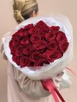 Красные Эквадорские розы 25 шт, арт.725