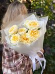 Роза пионовидная Кенделайт 7 шт, арт. 720