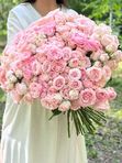 Розовый кустовые розы 51 стебель=153 бутона, арт. 520
