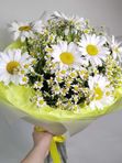 Букет- комлимент из ромашки