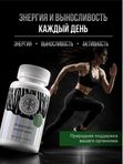 Живая Алхимия Кордицепс милитарис 120 капсул 500мг Эликсир жизненной силы