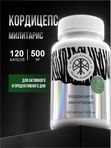 Живая Алхимия Кордицепс милитарис 120 капсул 500мг Эликсир жизненной силы