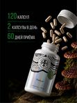 Живая Алхимия Рейши (Линчжи, Ganoderma lucidum) 120 капсул 500мг Грибы бессмертия и покоя