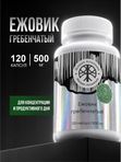 Живая Алхимия Ежовик гребенчатый 120 капсул 500мг Нейропротектор ясности ума