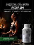 Живая Алхимия Траметес разноцветный 120 капсул 500мг Щит внутренних органов