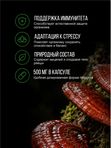Живая Алхимия Рейши (Линчжи, Ganoderma lucidum) 120 капсул 500мг Грибы бессмертия и покоя