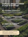 Горчичный порошок 1 кг, сухая молотая горчица О2 Натуральные продукты