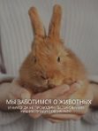 Очищающая пенка для маникюра и педикюра 150 мл O2 cosmetic
