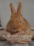 Спрей сыворотка для роста волос 110 мл O2 cosmetic