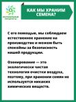 Расторопша семена для печени для похудения 1 кг